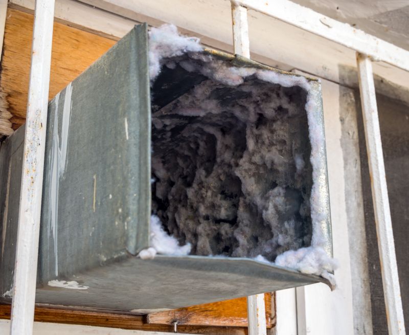 Air Duct Mold Removal in Jupiter, FL