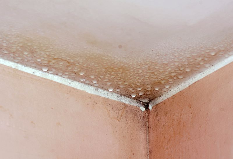 Garage Mold Remediation in Broward County, FL