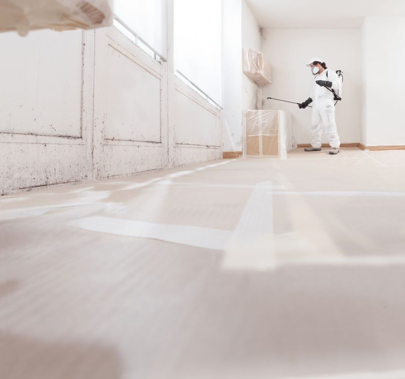 Mold Restoration in Broward County, FL