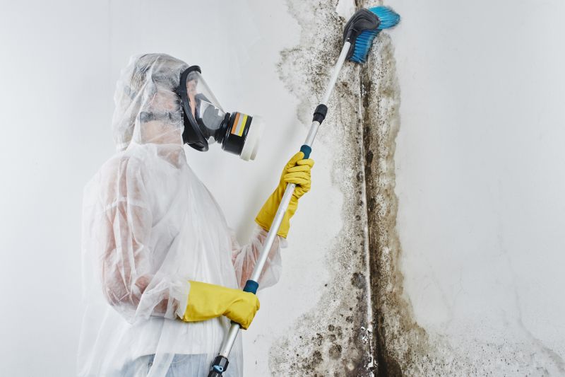 White Mold Mitigation in West Palm Beach, FL