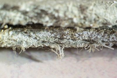 Asbestos Remediation in Old Bridge, NJ