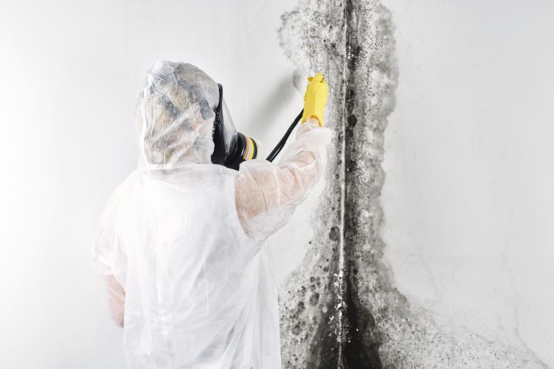 Black Mold Remediation in Broward County, FL