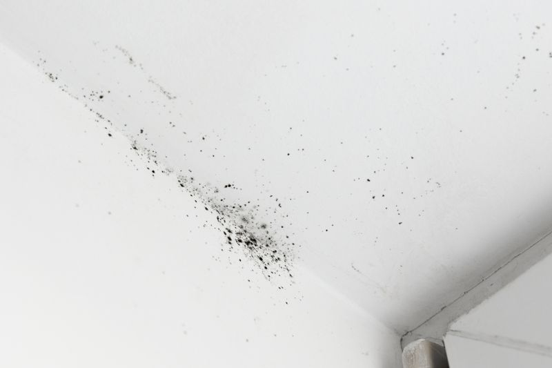 Ceiling Mold Removal in Broward County, FL
