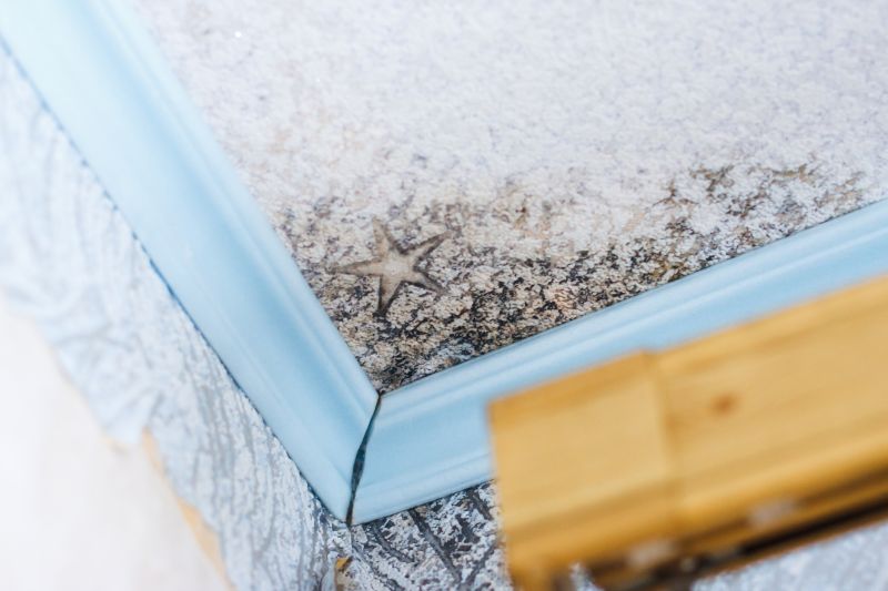 Ceiling Mold Removal in Fort Lauderdale, FL