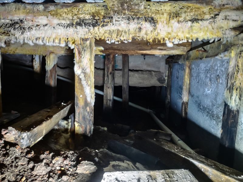 Crawlspace Mold Remediation in Boca Raton, FL