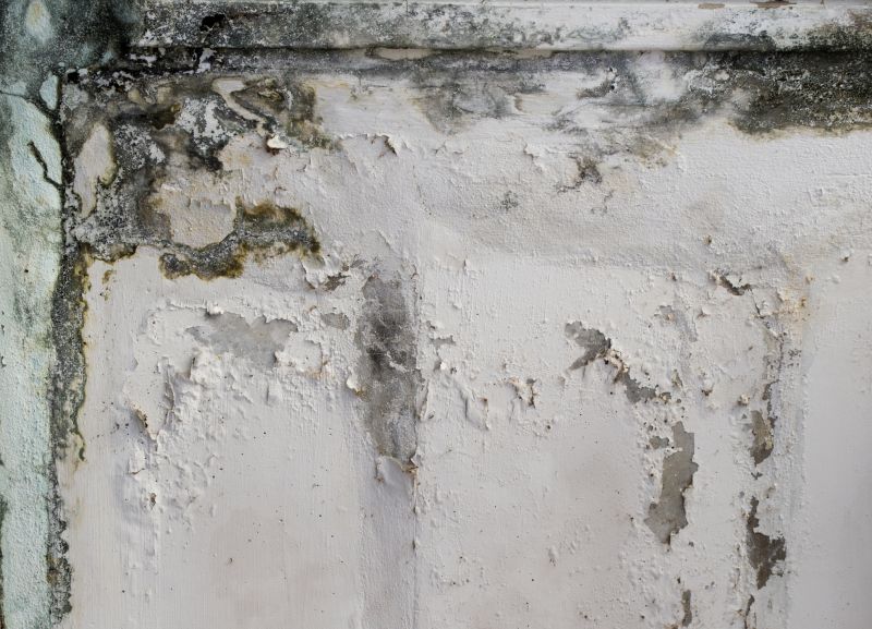 Garage Mold Remediation in Bergen County, NJ