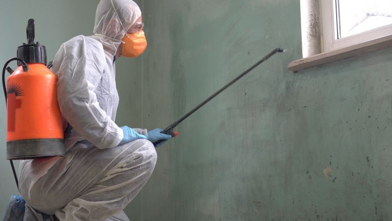 Mold Abatement in Plano, TX