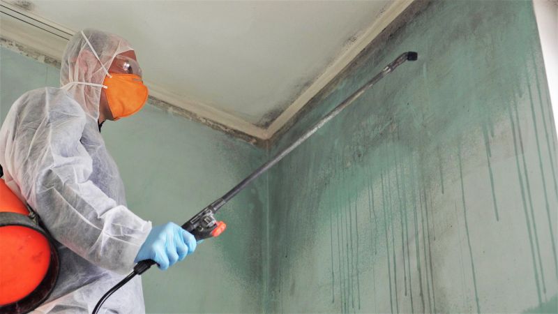 Mold Remediation Service in Fort Lauderdale, FL
