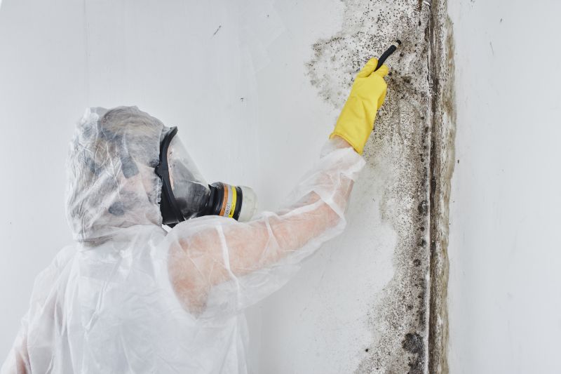 Professional Mold Inspection