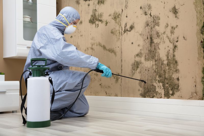 Mold Inspection Service