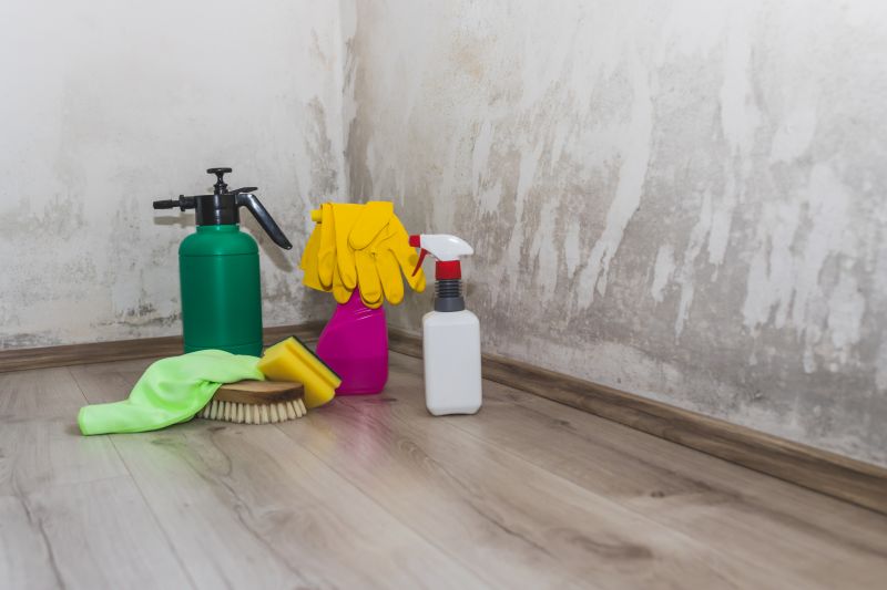 Mold Removal in Broward County, FL