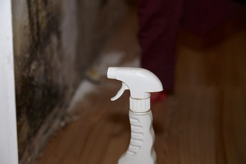 Mold Treatment Service in Bergen County, NJ