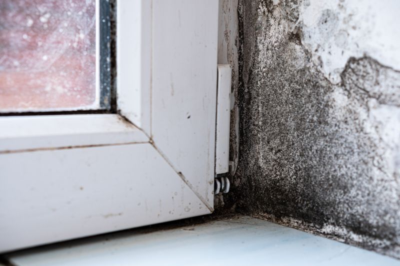 Mold Treatment Service in Fort Lauderdale, FL