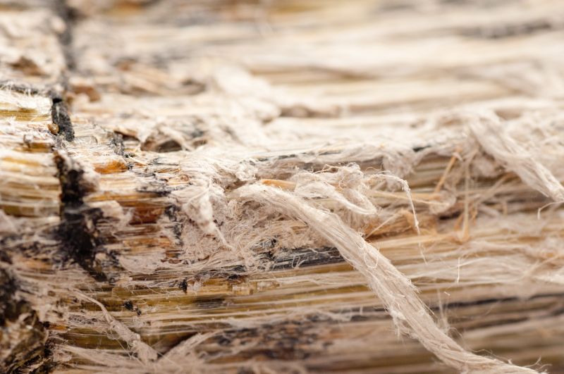 Vermiculite Remediation in Freehold, NJ