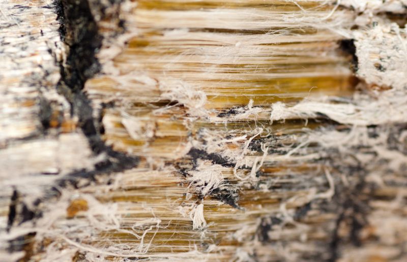 Vermiculite Removal Service in Freehold, NJ