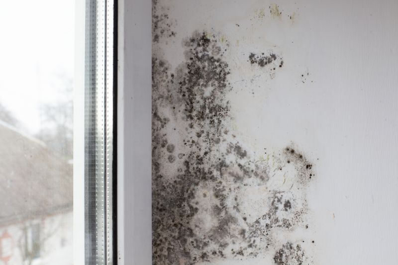 White Mold Mitigation in West Palm Beach, FL