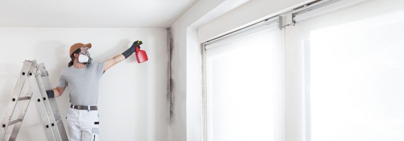 White Mold Mitigation in Jupiter, FL