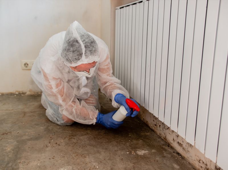 White Mold Mitigation in Frisco, TX