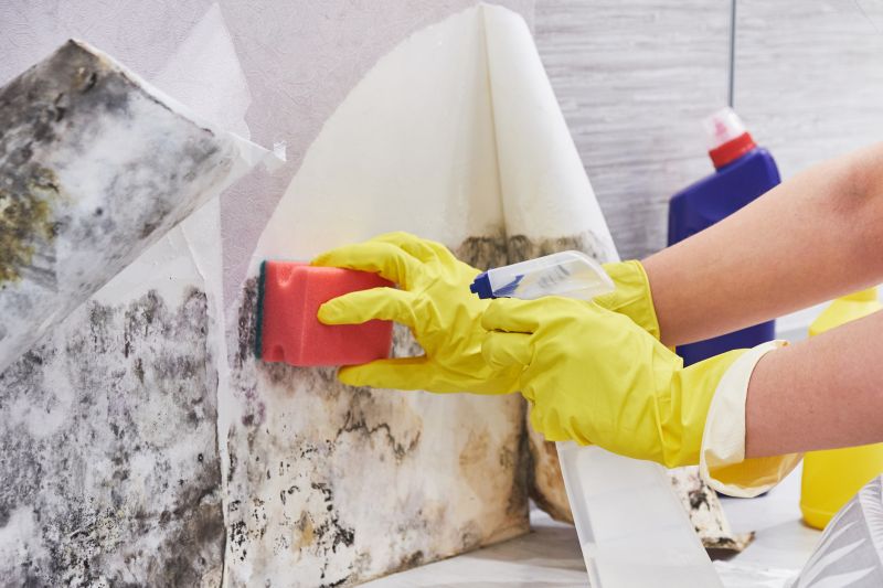 White Mold Mitigation in Boca Raton, FL